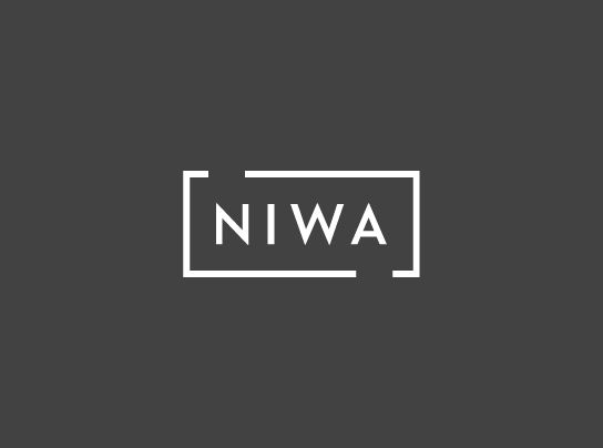 Niwa interiorismo
